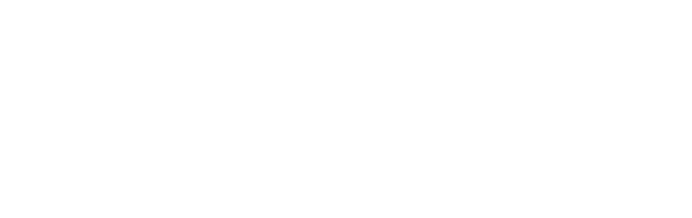 logo light